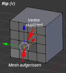 Aufreißen (Rip)