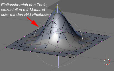 Einflussbereich des Proportional Edit